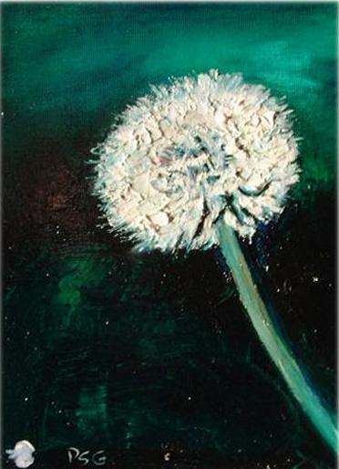 Dandelion. Taraxacum officinale.