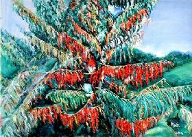 Geschlitzter Essigbaum