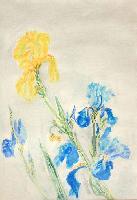 Irises