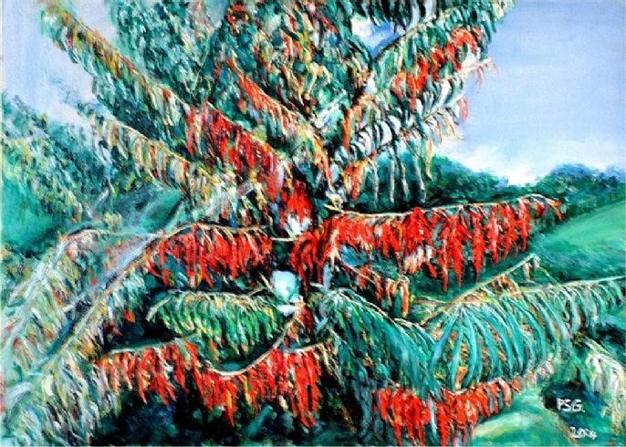 Staghorn Sumac Rhus typhina 'Laciniata'.